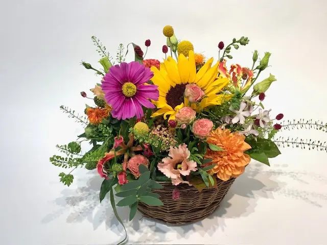 Sonniger Gartenzauber