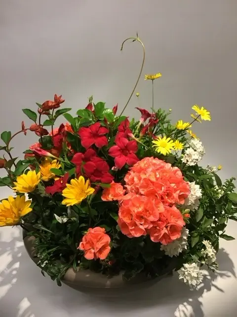 Fröhliche Sommerbepflanzung